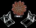 Adjustable Display Stands measuring 2x3"  Sold Each    40126