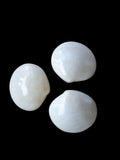Clam (Tiger Albino) 3 to 4"  Polished Shell Pairs Sold Each ####