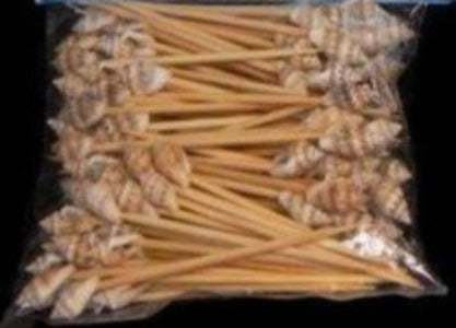 Toothpicks with an Attached  1/4" or less Shell totaling 3"  Sold Each Assorted     40926