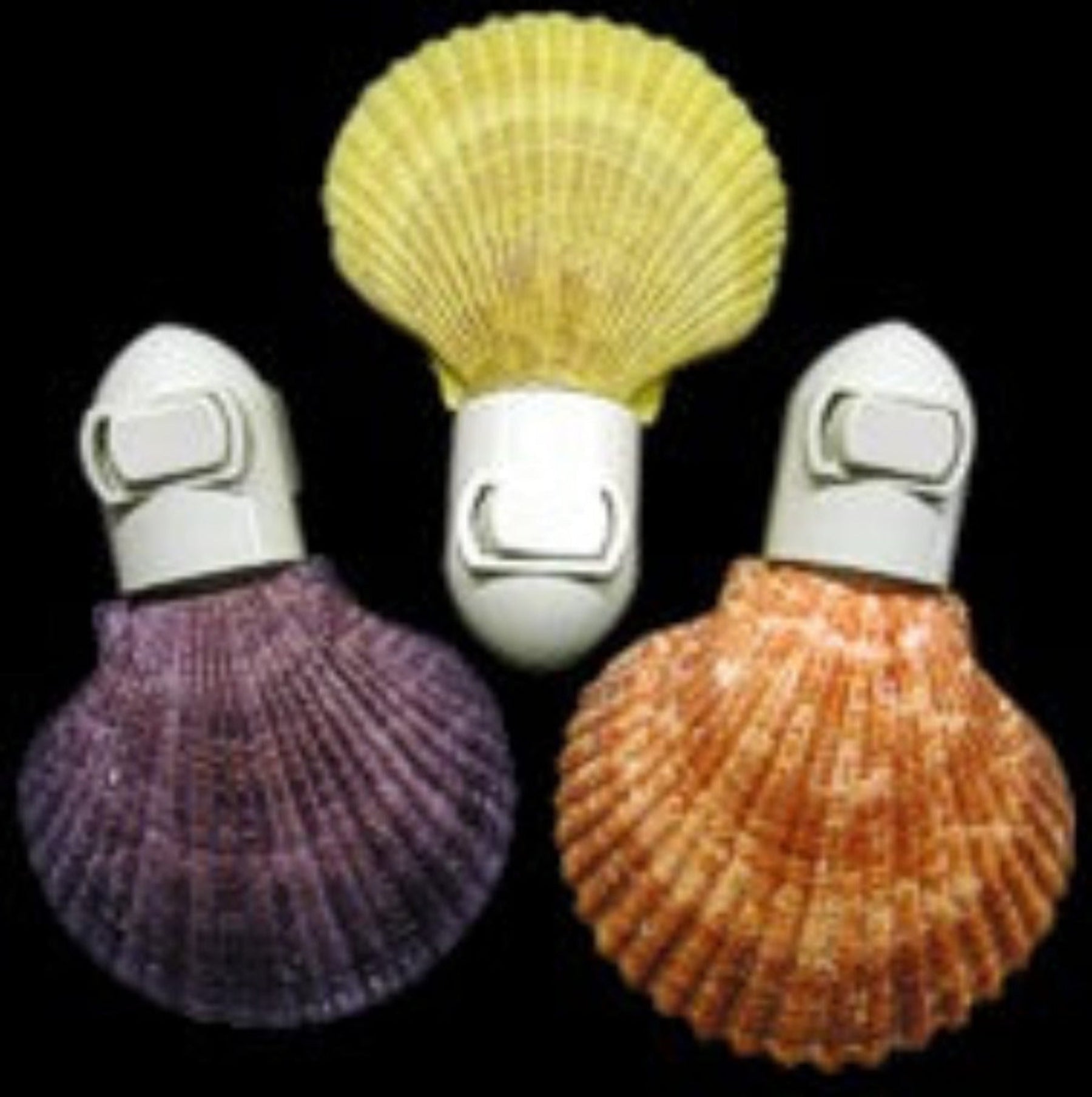 Pectin Shell Hand Crafted Nitelite measuring 3"  Sold Assorted  Each 61226