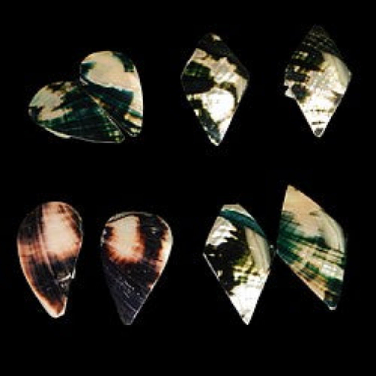 Black Lip Oyster Assorted Cuts measuring Approximately 2" Sold Each  31126