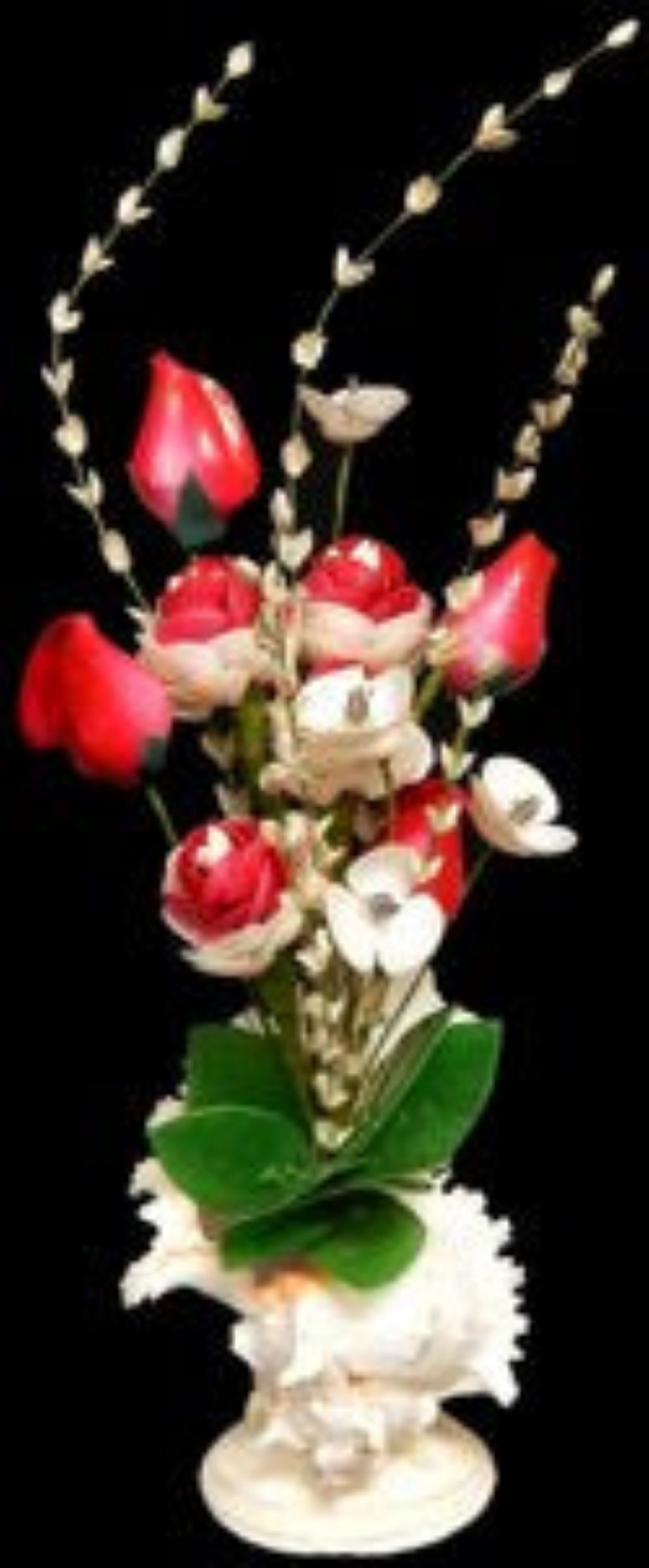 Canarium Shell Roses in a Large murex Shell measuring 8"  sold each  61326