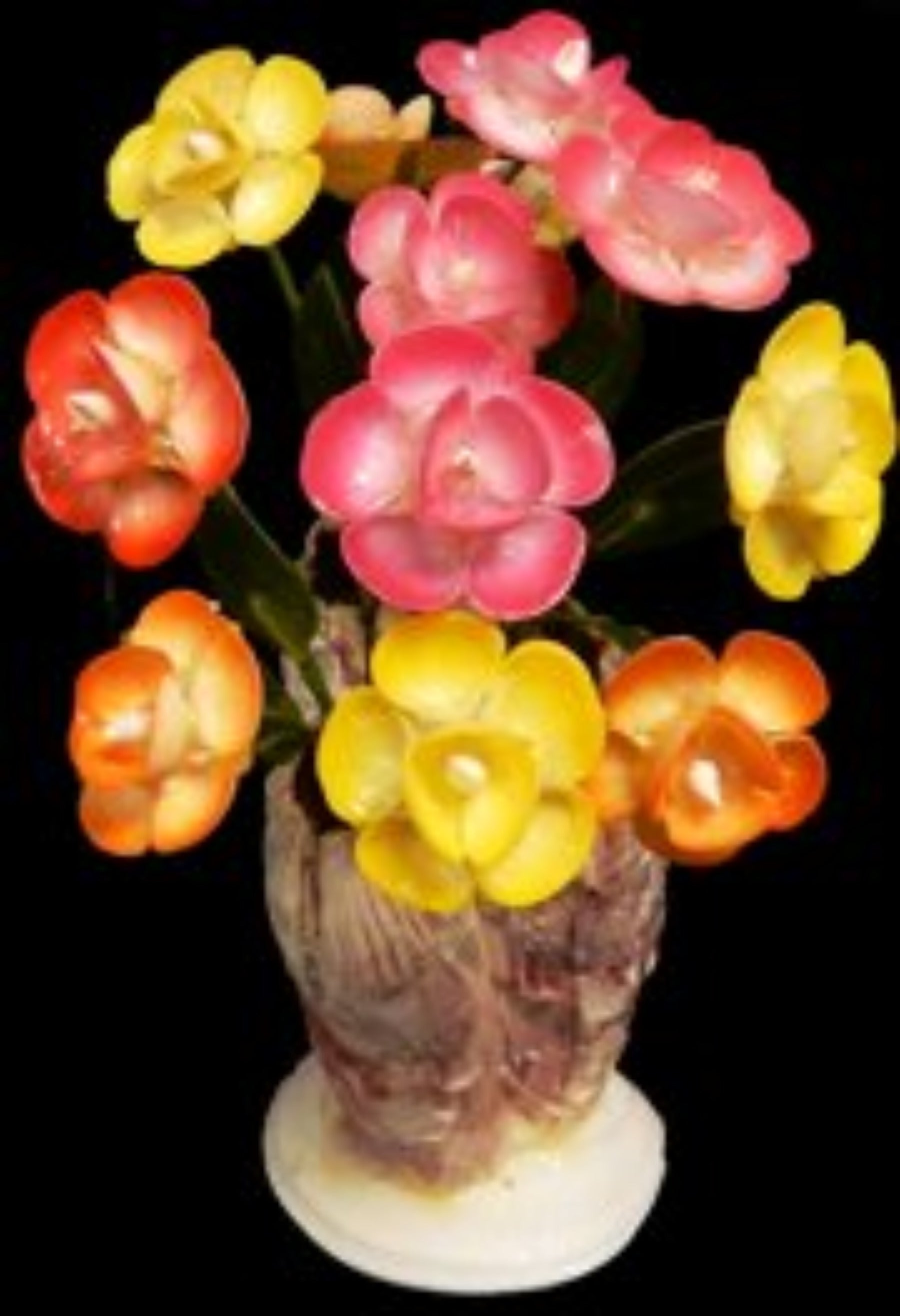 Cay Cay Flowers with Barnacle Base 9 to 10" SOLD OUT  61226