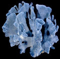 Coral Blue Ridge Cluster 5 to 7"  Sold Each ####