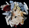 Coral Broken 1/2 to 4" Pieces Sold By The 1/4 LBS ####