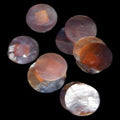 Brown Lip Oyster Cut Rounds measuring 3/4 to 1"  Sold each     32926