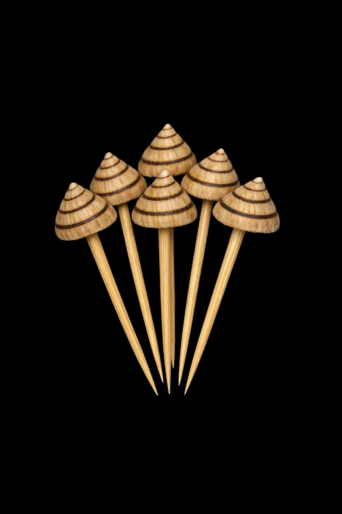 Toothpicks 4" with a 1/2" or less Natural Candy Snail Shell Attached  Sold Each    41126