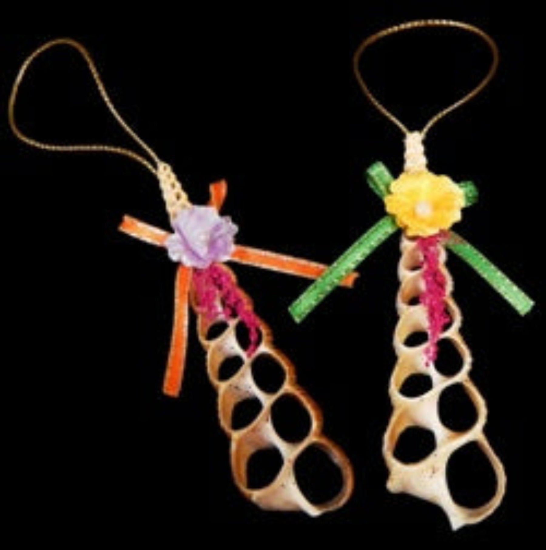 Center Cut Turretella Shell Hand Crafted Ornament measuring 3" Sold Each  61326