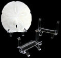 Display Stands measuring 2 1/2 x 3 1/2" Sold Each       40126