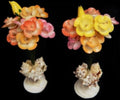 Cay Cay Shell Flowers/ shell base 9" Sold Each   SOLD OUT 51226