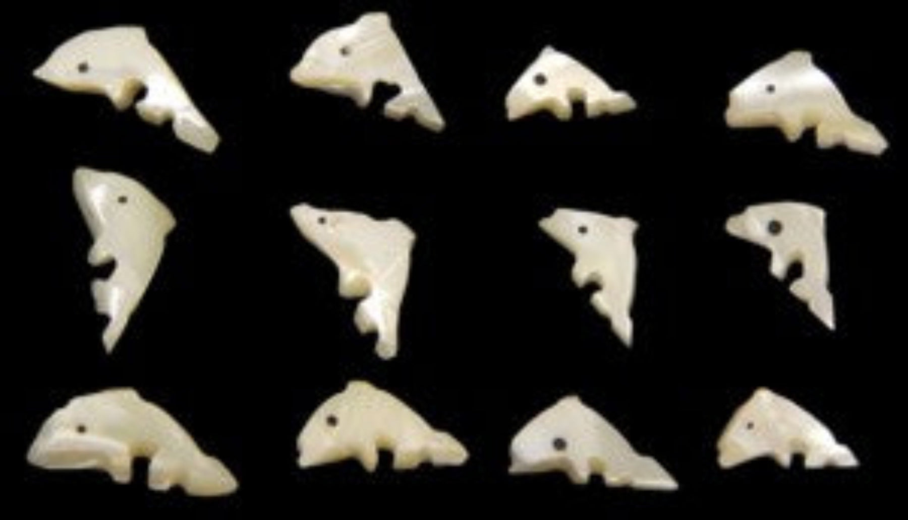 Troca Shells Hand Carved into Dolphins with a Drilled Hole measuring 1/2 to 3/4"  Sold Each  60826