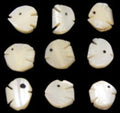 Troca Shells Hand Carved into Angel Fish with a Drilled Hole measuring 1/2 to 3/4" Sold Each  60926
