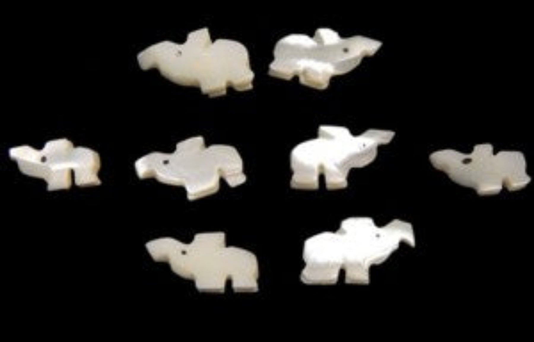 Troca Shells Hand Carved into Elephants with a Drilled Hole measuring 1/2 to 3/4" Sold Each  60926