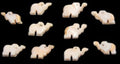 Elephants Hand Carved from Luhanus Shells with Drilled Hole measuring 1/2 to 3/4"  Sold Each   60726