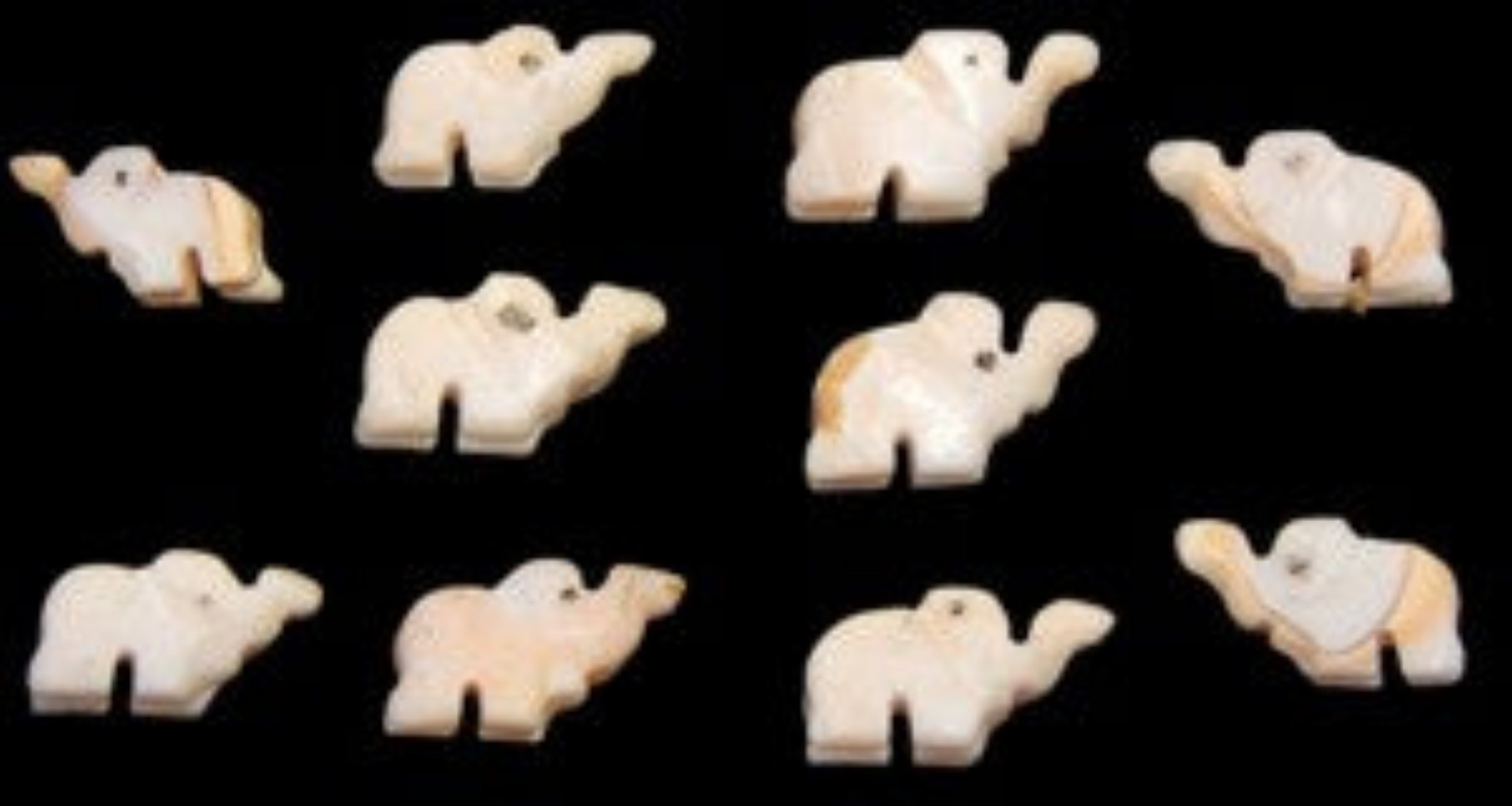 Luhanus Shells 1/2 to 3/4" Elephants Hand Carved Sold Each 22126