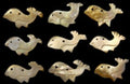 Troca Shells Hand Carved into Whales with a Drilled Hole measuring 1" Sold Each  60926
