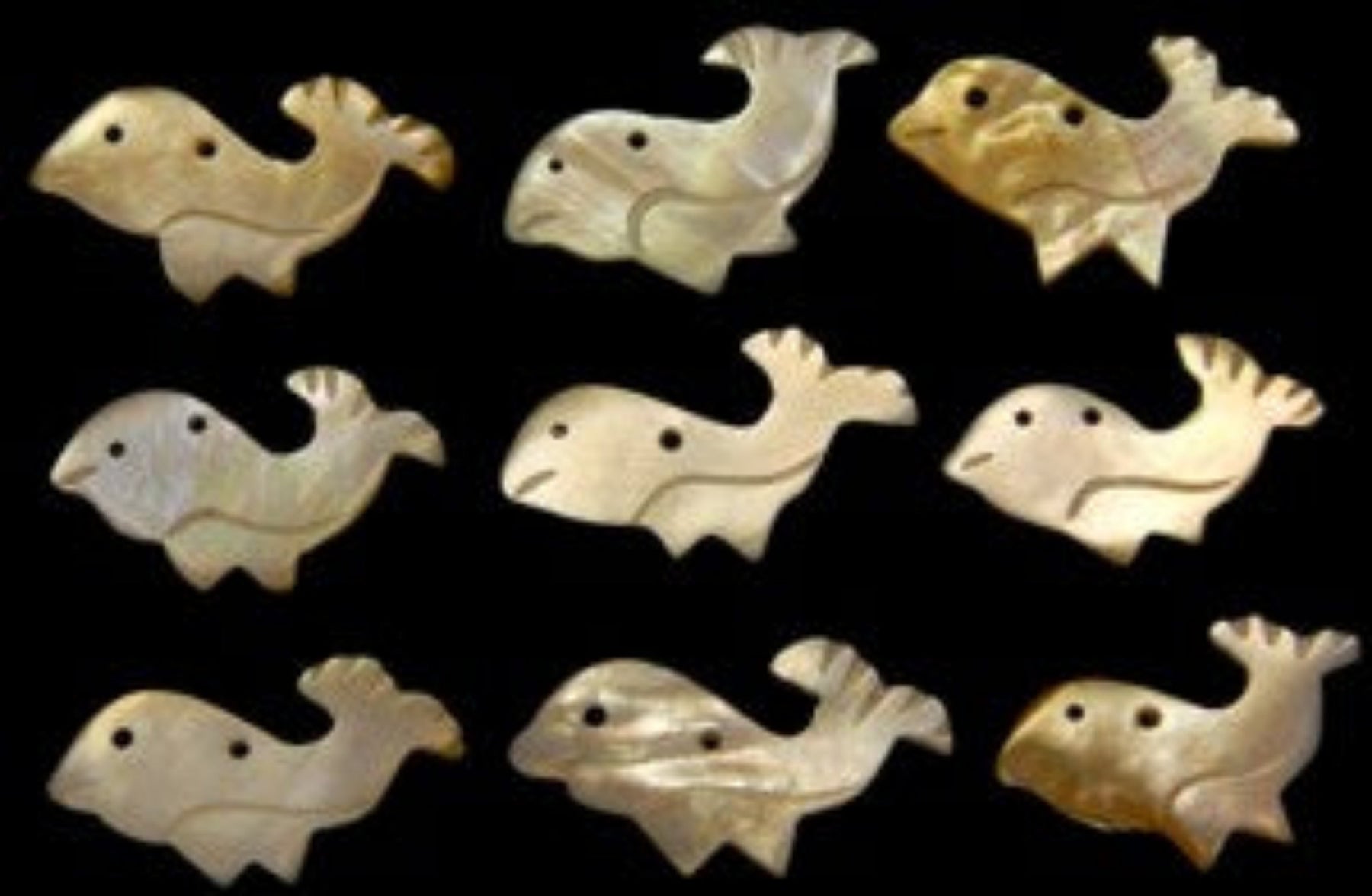 Troca Shells Hand Carved into Whales with a Drilled Hole measuring 1" Sold Each  60926