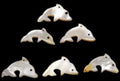 Troca Shells Hand Carved into Dolphins with a Drilled Hole measuring 1" Sold  Each  60926