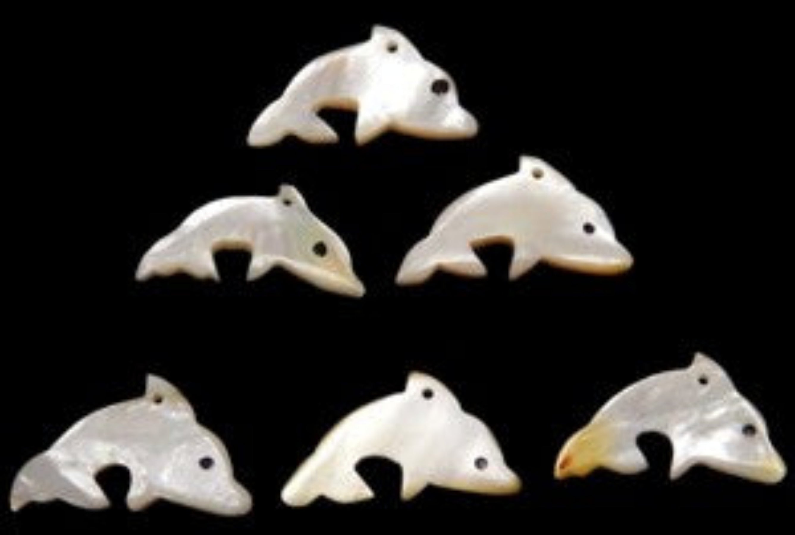Carved Troca Shell Dolphin, 1" with Drill Hole — Sold Individually   22226
