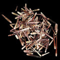 Fire Sea Urchin Spines measuring 1 to 4" Sold by the Ounce  61126