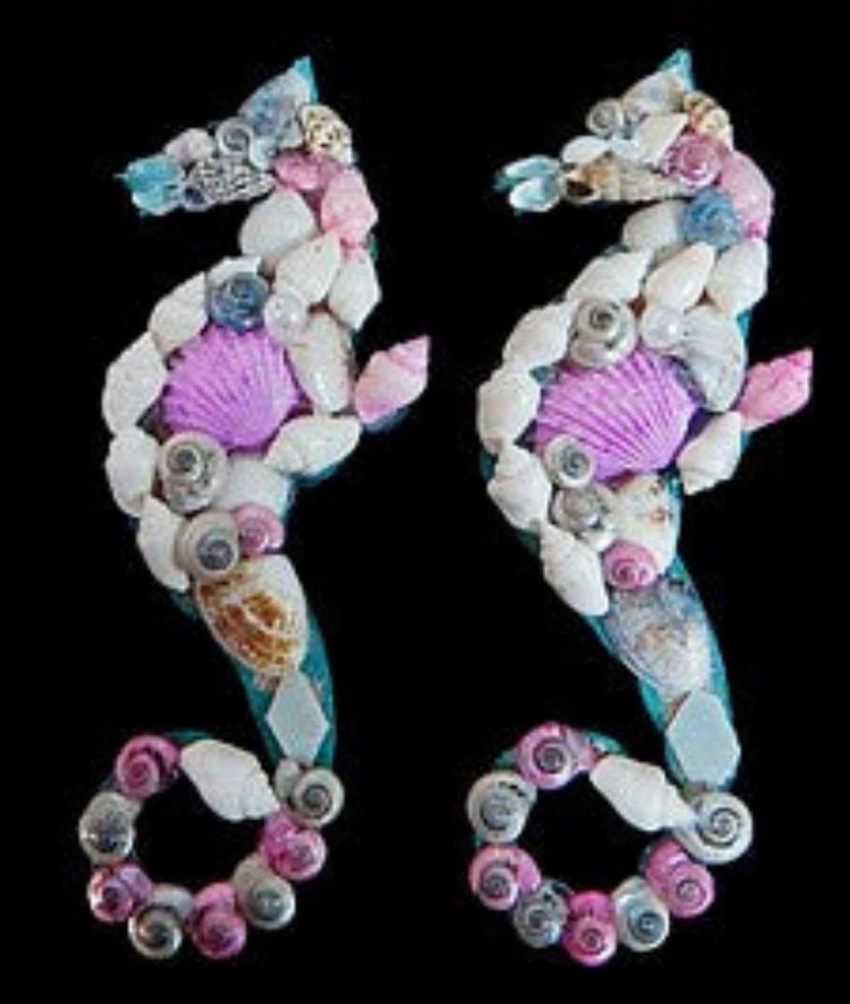Shell Magnet MAGNETS AND SEA SHELL ART – shells-from-the-dawn-of-aquarius