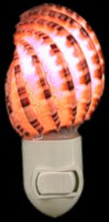Harpa Shell Hand Crafted Nitelite measuring 3"  Sold Each   61326