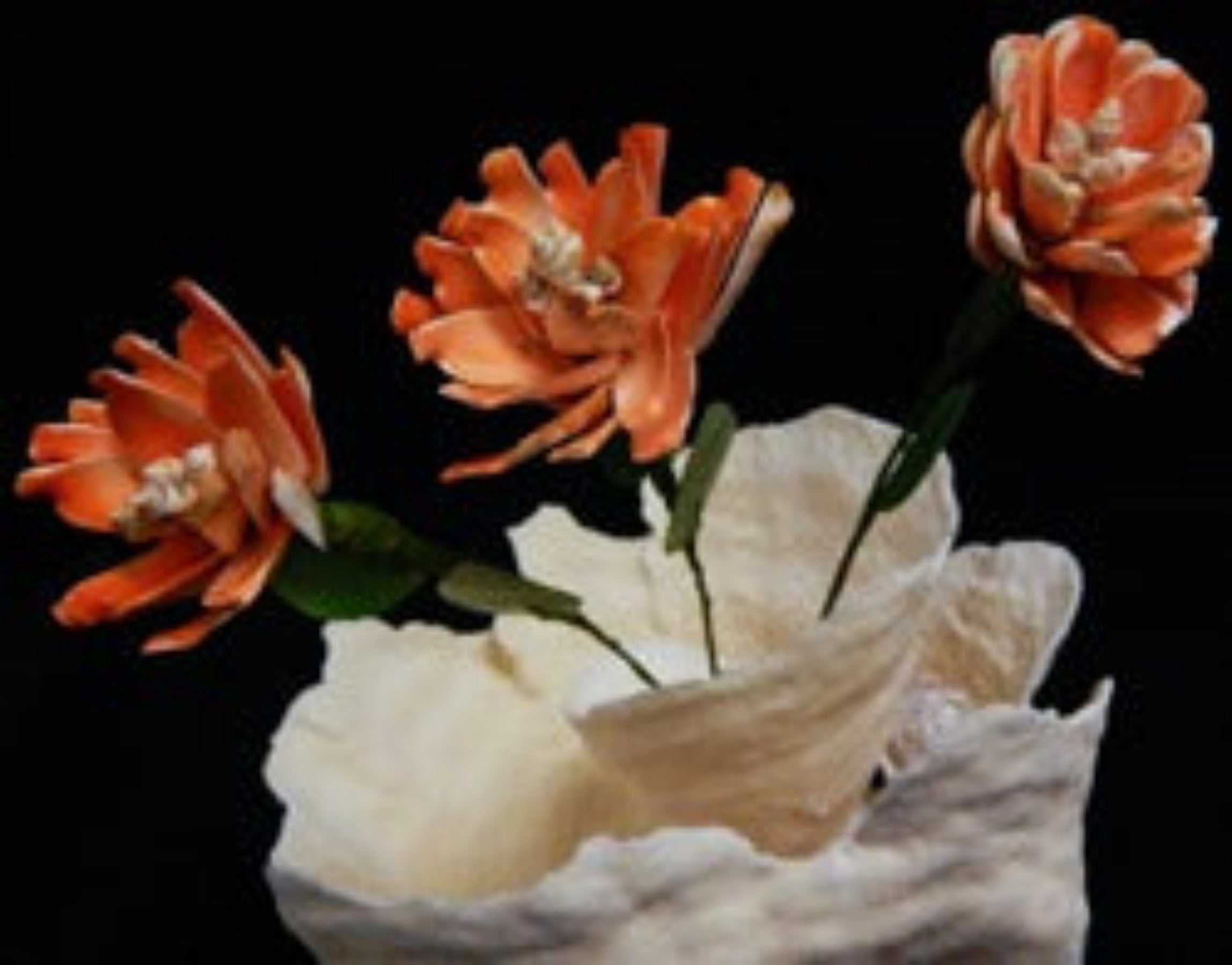 Luhanus Shell Flower Stem measuring 10"  Sold Each   61226