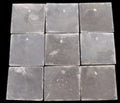 Capiz hand cut Square  2x2" Shell 1 drill Hole Sold Each    22626