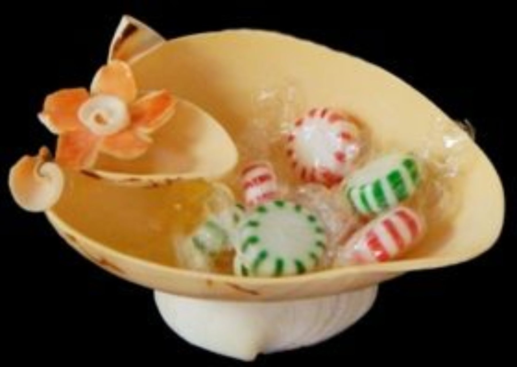 Melon Shell Container measuring 5 to 7"  Sold Each   61226