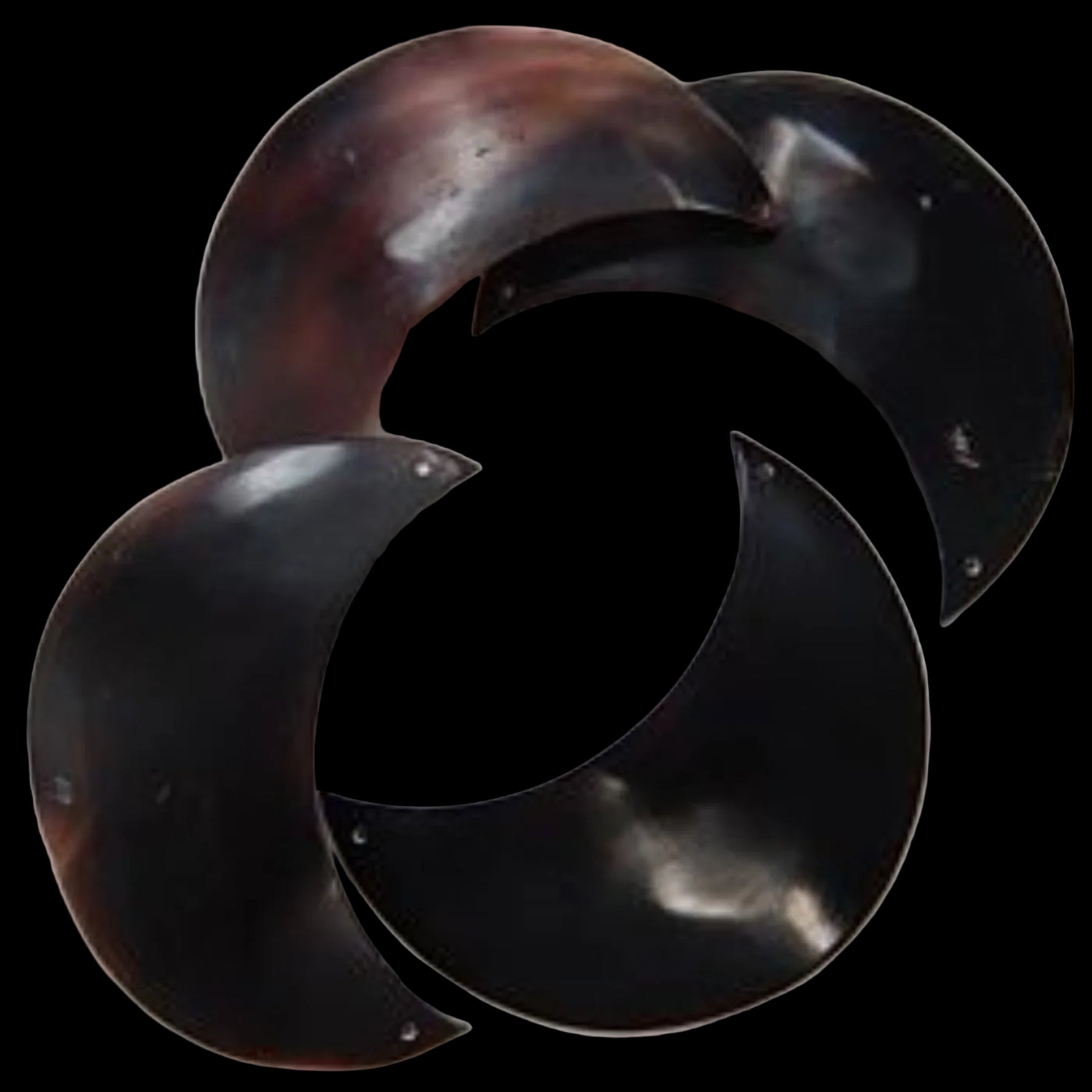 Pen Shells Hand Carved into Moon Cuts with Tip Drilled Holes measuring, 3"  Sold Each  60926