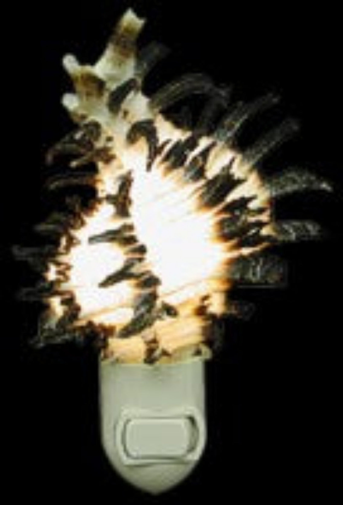 Nite Lite 3" Long Spine Murex Shell  OUT OF STOCK