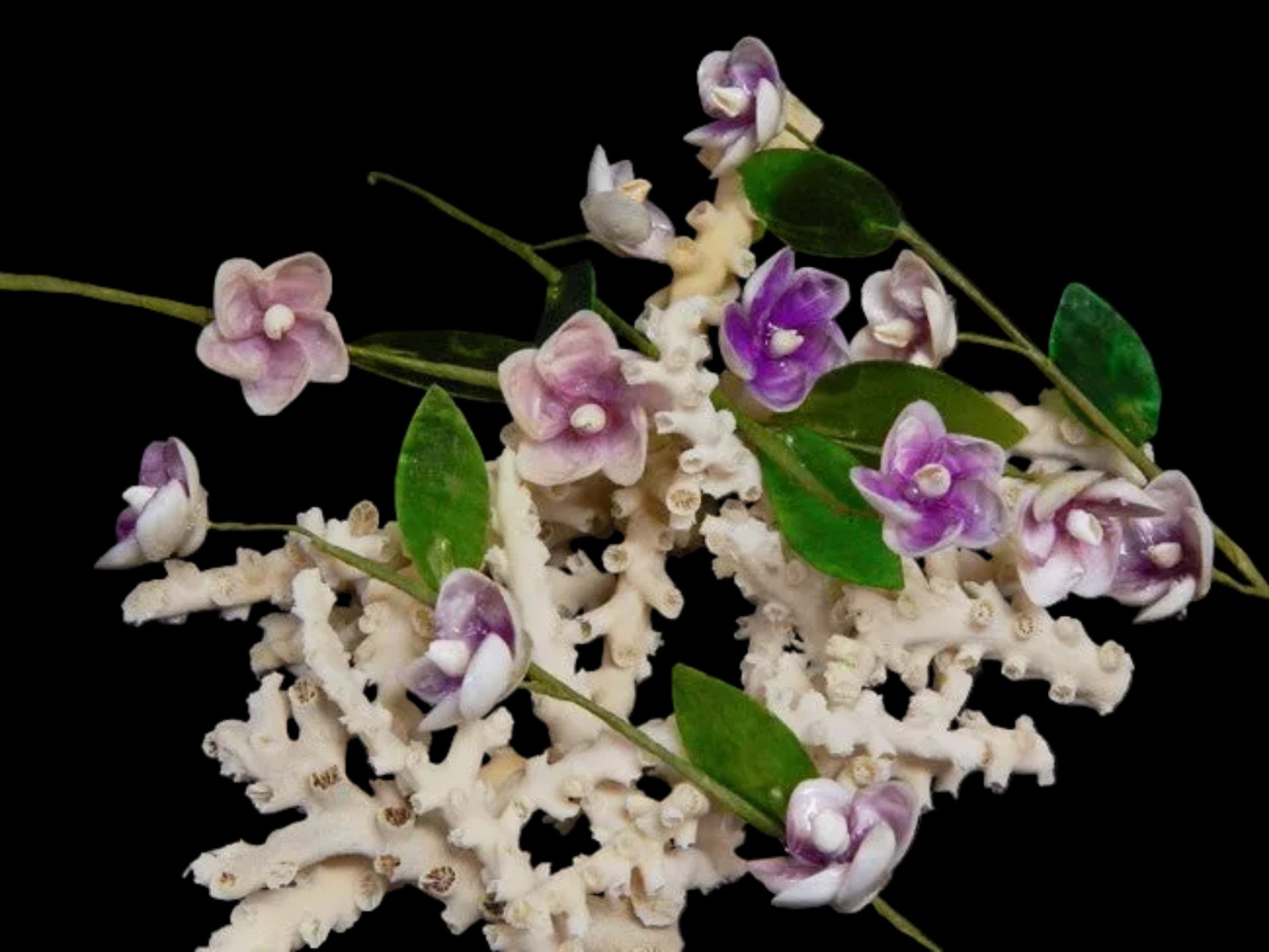 Rose cup Shell Flower Stem measuring 10"  sold each   61226