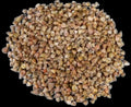 Top Natural 1/4" or Less Shells Sold By The 1/4 LBS ####