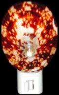 Nite Lite 4" Oval Limpet Shell 4" Sold Each