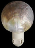 Polished Black Lip Oyster Shell Hand Crafted Nitelite  measuring 3" Sold Each   61326
