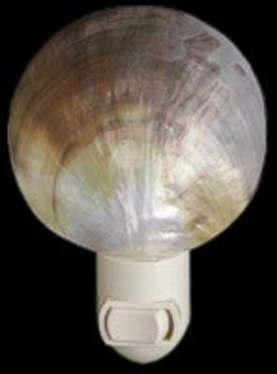 Nite Lite 3" Polished Black Lip Oyster Sold Each ####