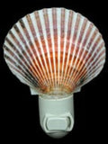 Purperatus Pectin Hand Crafted Shell Nitelite measuring 4"  Sold Each  61326