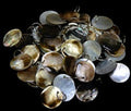 Blacklip Oyster Cut Round Disks with Dilled Hole & Ring measuring 1/2"  Sold Each   60726