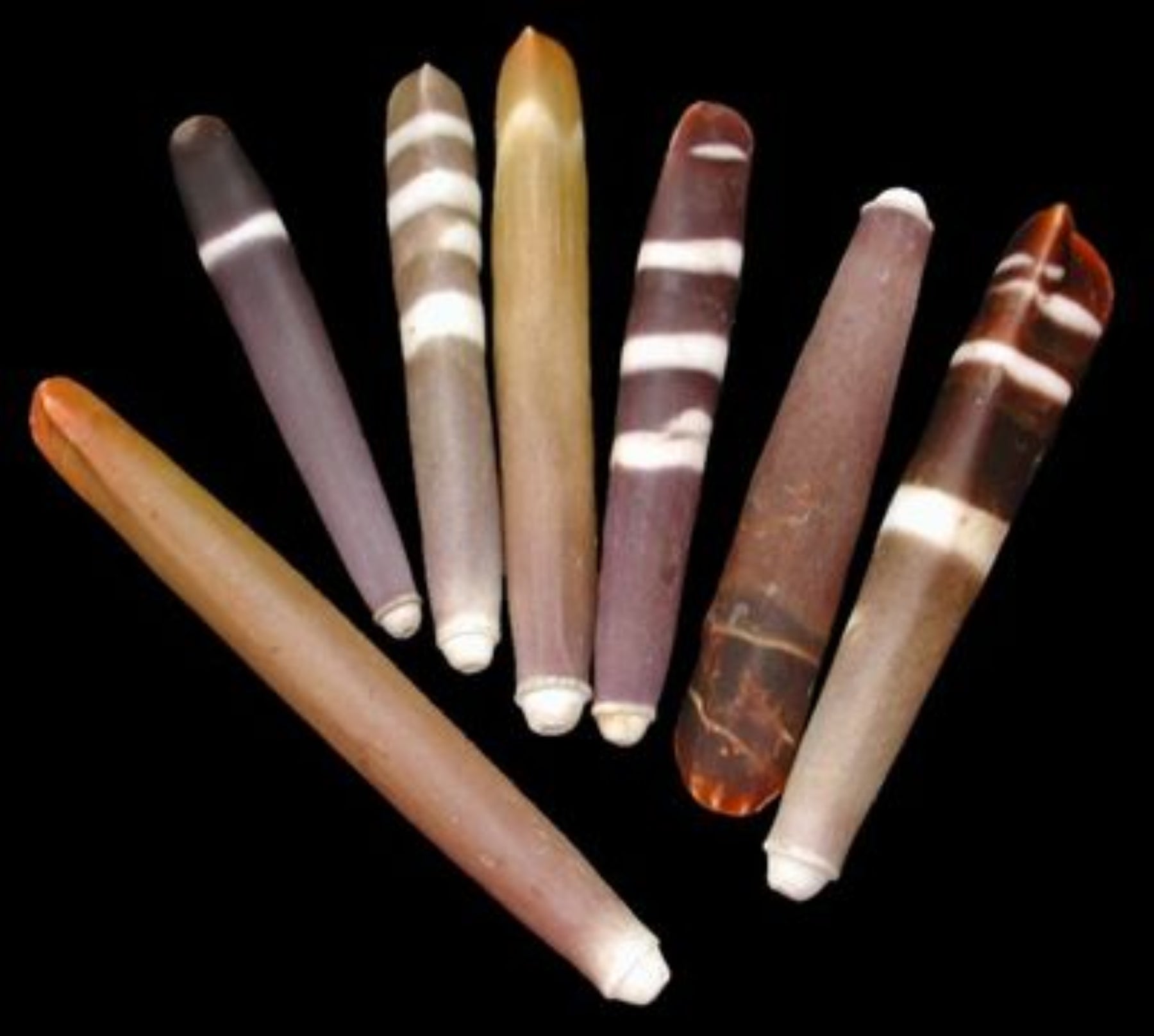 Sea Urchin Spines measuring 1 to 3" sold by the 1/4 pound   61126