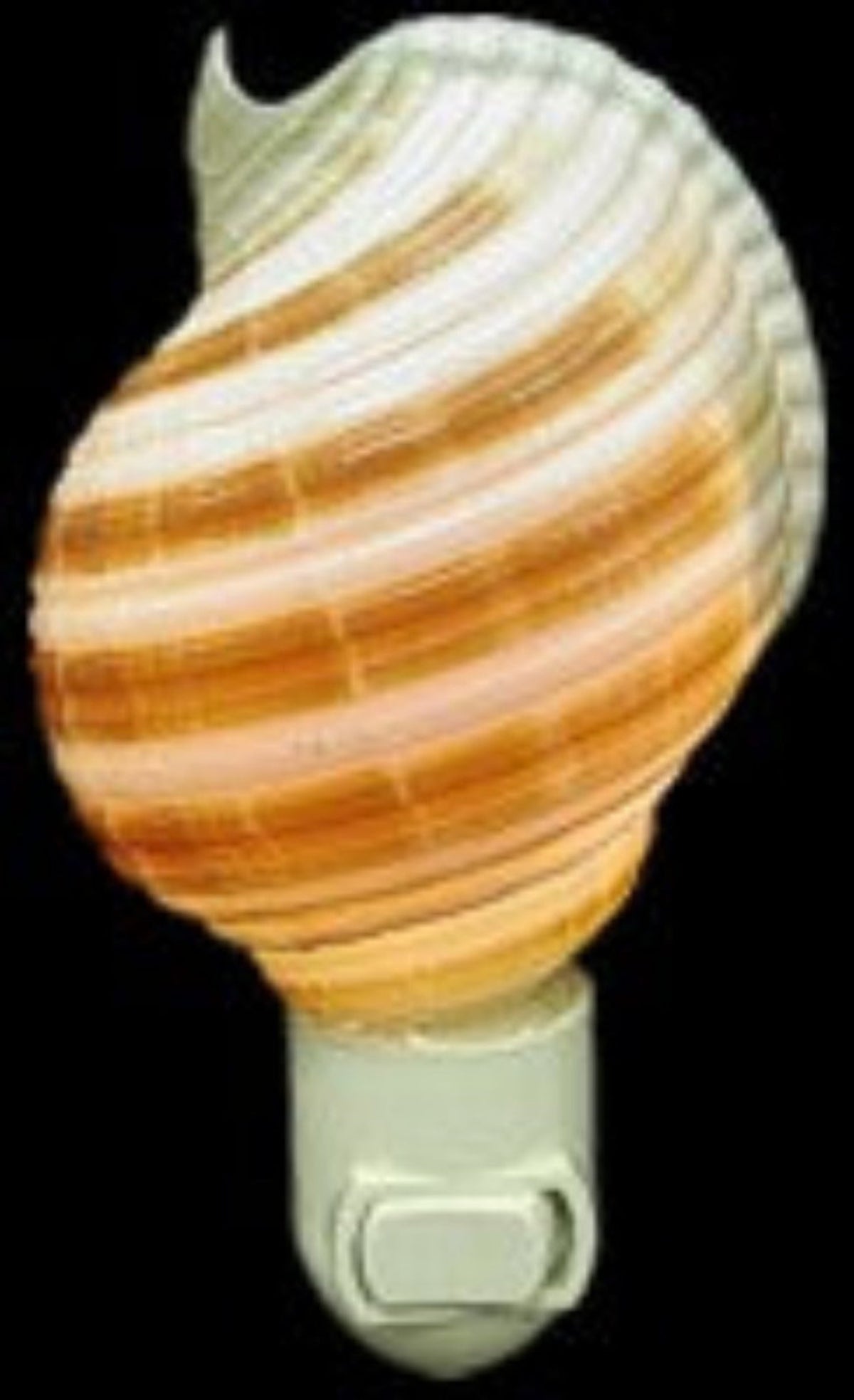 Selacosa Hand Crafted Shell Nitelite measuring 4" Sold Each  61326