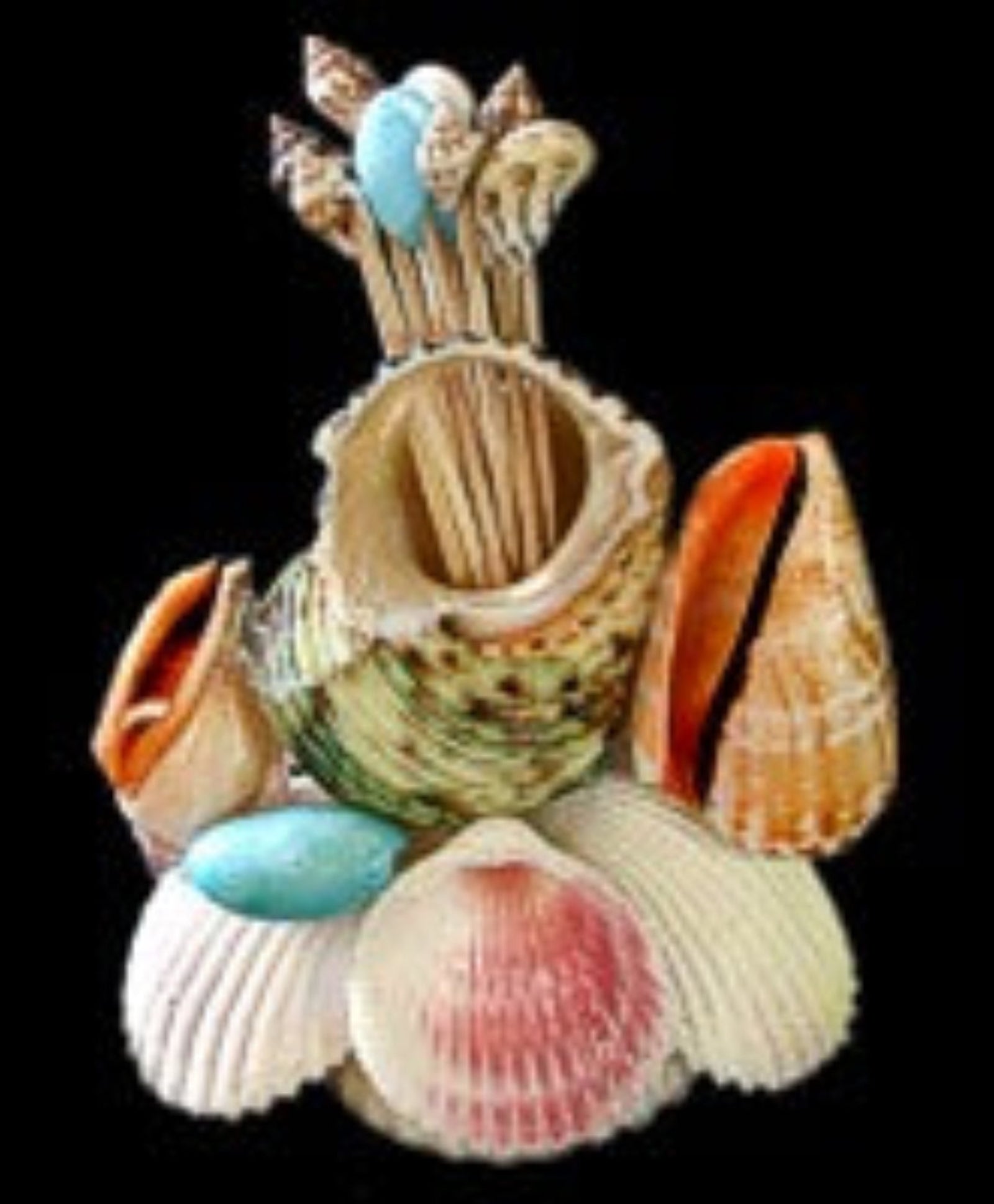 Scallop Shell Array Holding Shell Toothpicks measuring 5"  Sold Each  61226