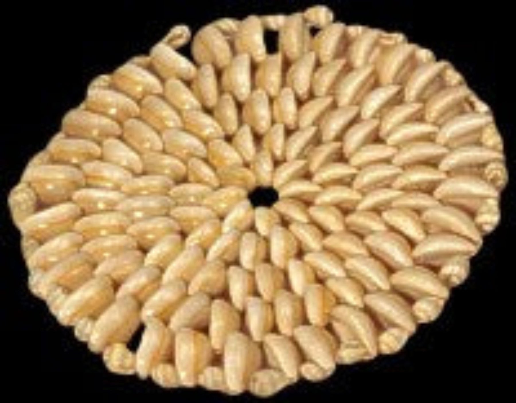 Hand Strung Shell Hot Plate Placemats measuring 6" Sold Each  61226