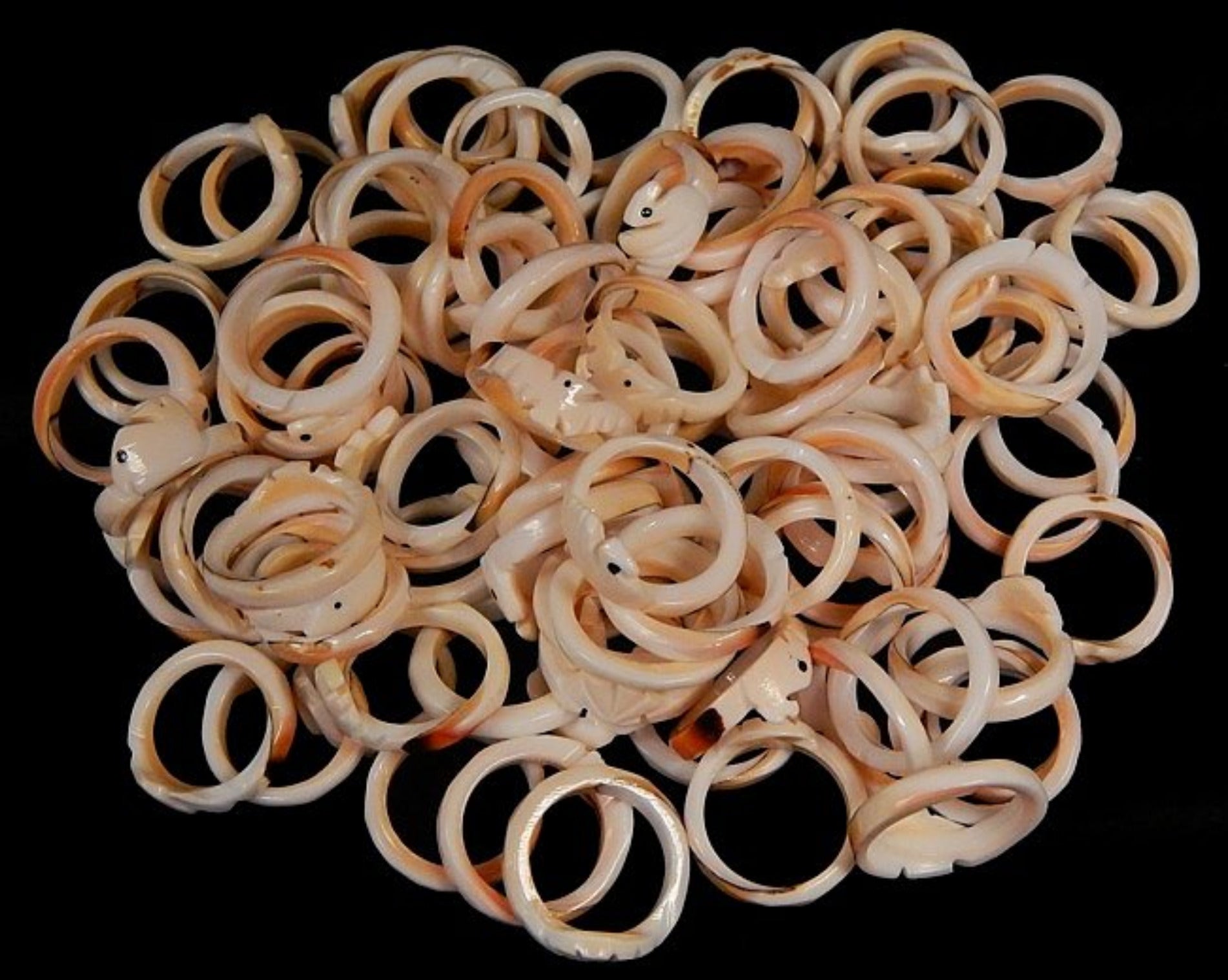 Strawberry Strombus Assorted Shell Rings measuring approximately 1/2" Sold Each    32926