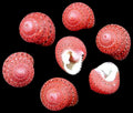 Turban Shell (Strawberry Top) 1/2" or less Shell Sold Each ####