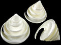 Silver Troca Spiral Cut Shells measuring 2 to 2 1/2" , Sold Each   31926