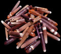 Sea Urchin Spines Side Drilled measuring 1 to 3" Sold Each   61126