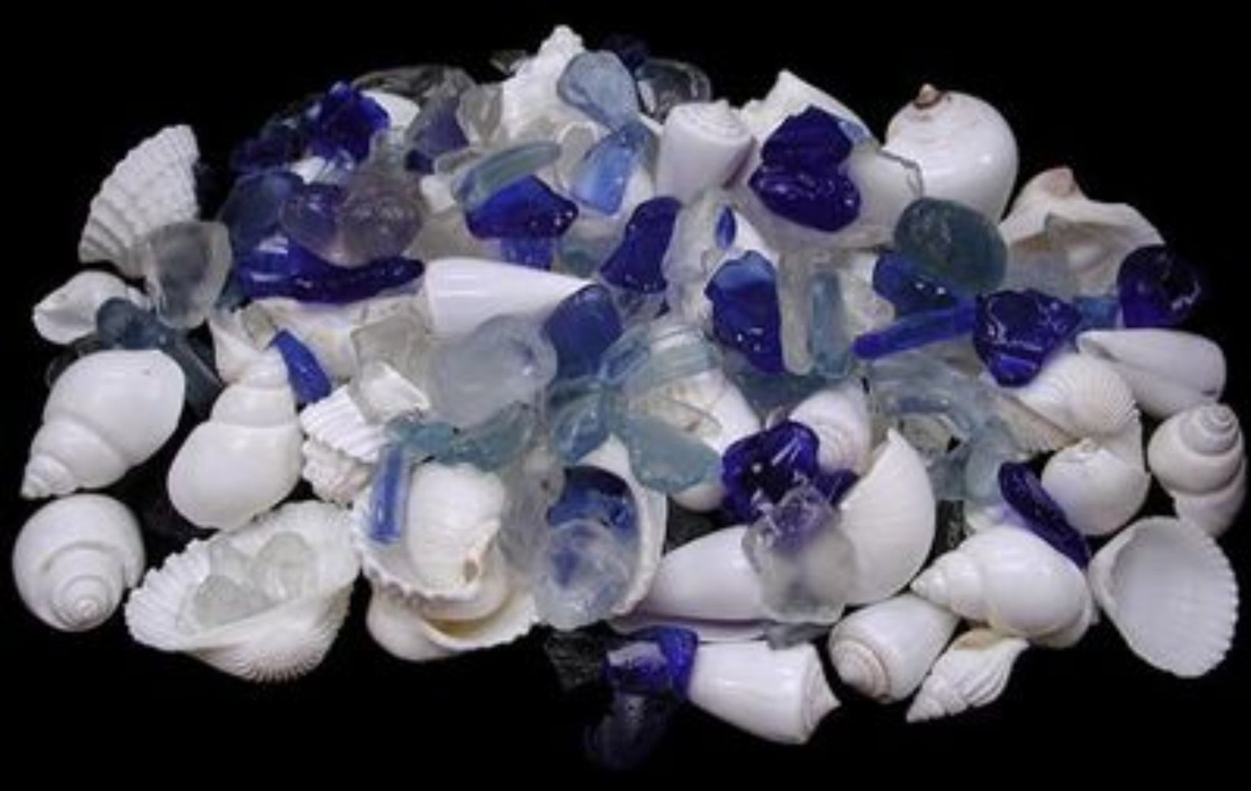 White Shells with Blue & clear Sea Glass Mix measuring 1/2 to 3" Sold by the 1/4 pound  61126