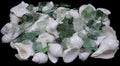 White Shells with Green, Clear & Frosted Sea Glass  measuring 1/2 to 3" Sold by the 1/4 pound   61126
