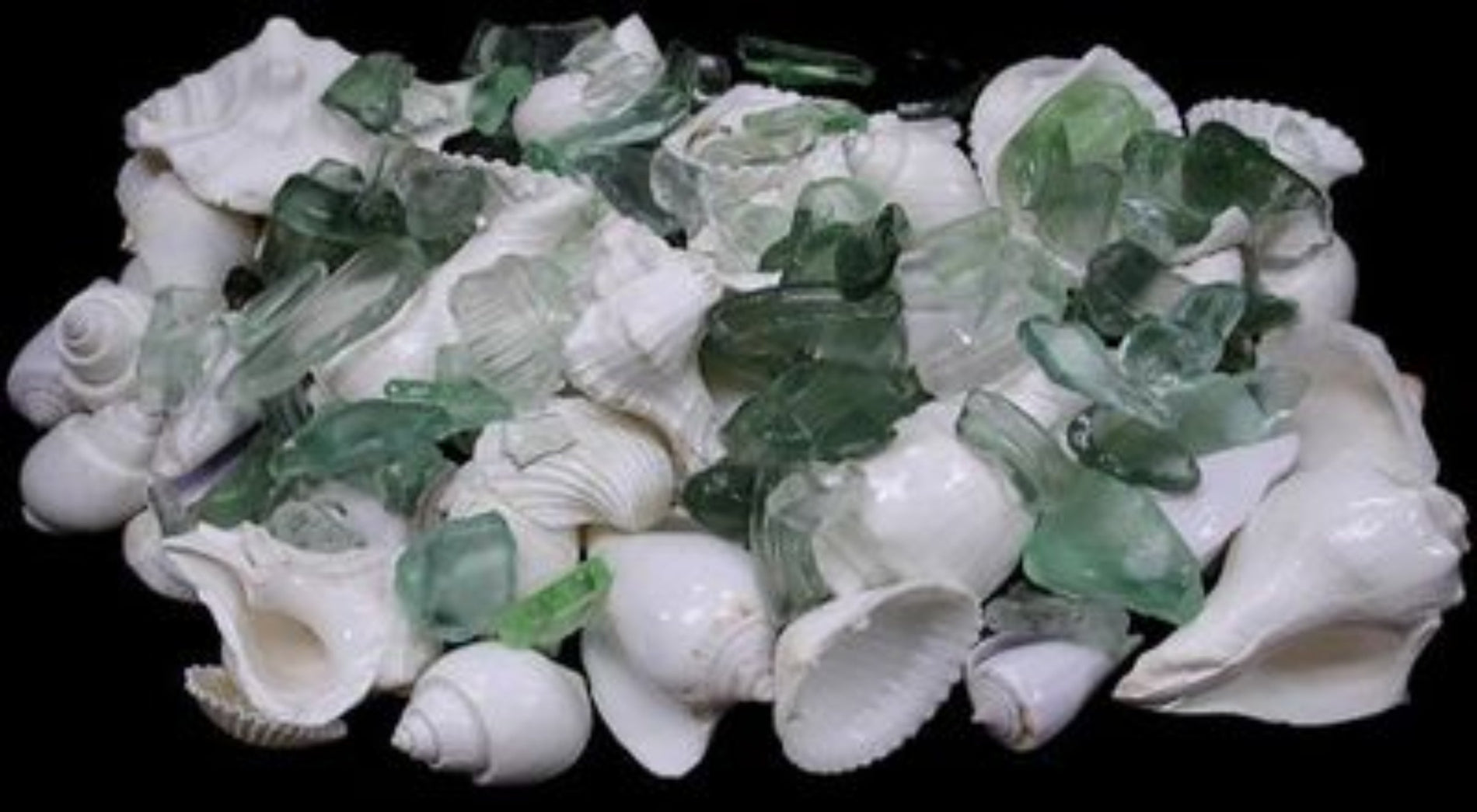 White Shells with Green, Clear & Frosted Sea Glass  measuring 1/2 to 3" Sold by the 1/4 pound   61126