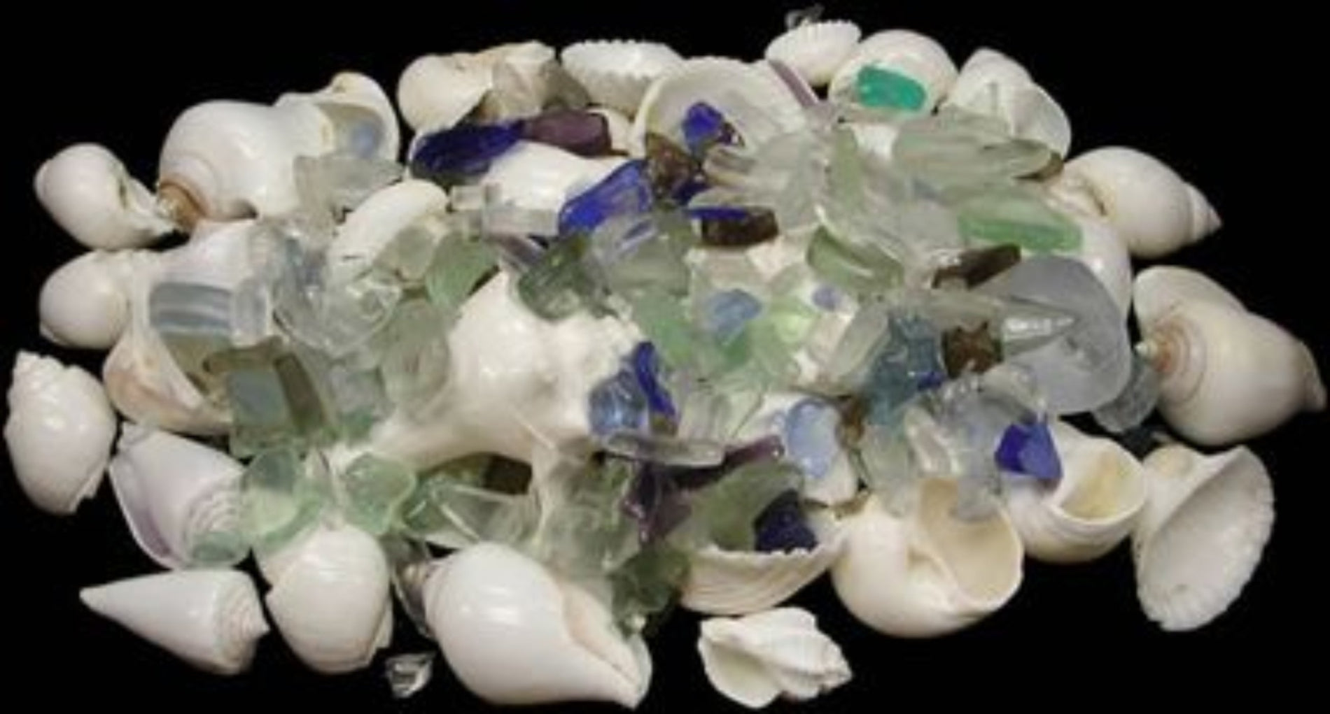 White Shells & Lite Sea Glass Mix measuring 1/2 to 3" Sold by the 1/4 pound  61126